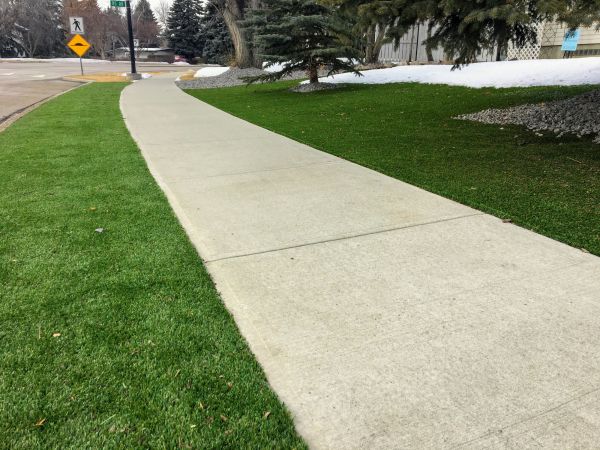 Cost of Concrete Walkway Lifting in Westland