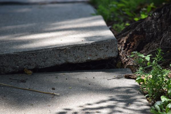 Sidewalk Leveling in Westland