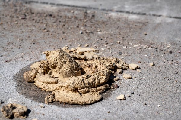 Cost of Driveway Slab Leveling in Westland
